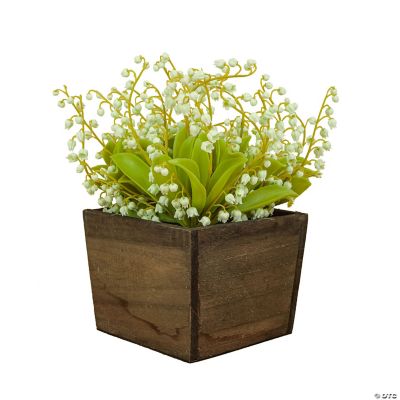National Tree Company 10" Green LilyOfTheValley Flowers In Wood Box