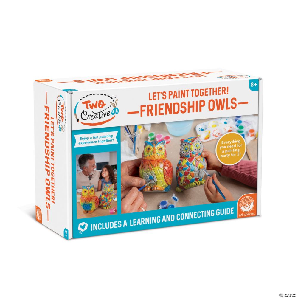 Two Creative Friendship Owls Stone Décor Painting Craft Kit for Two From MindWare