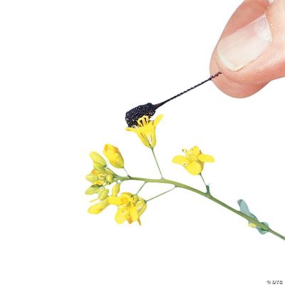 Carolina Biological Supply Company Pollination Wands, Pack of 12