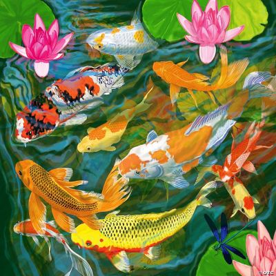 Springbok's 1000 Piece Jigsaw Puzzle Koi Pond - Made in USA | Oriental ...