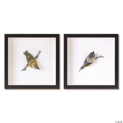 Wood Framed Bird Shadow Box Wall Art (Set of 2)
