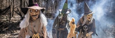 Wicked Witch Sisters Halloween Decorations