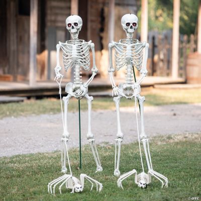 Skeletons Walking Pet Spiders Halloween Decorating Kit 4 Pc