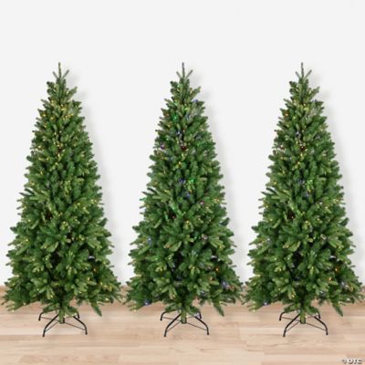 7.5' Pre-Lit Washington Frasier Fir Multi-Function Slim Christmas Tree -  Dual Color LED Lights