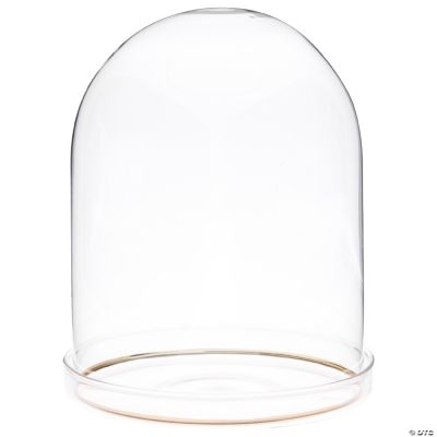 Plymor 4.5" x 6" Glass Display Dome Cloche with Gold Rim (Clear Glass
