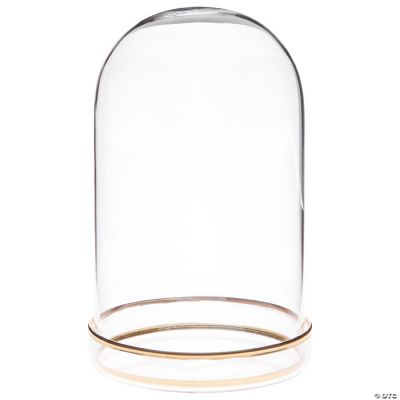Plymor 3" x 5" Glass Display Dome Cloche with Gold Rim (Gold Rim Glass
