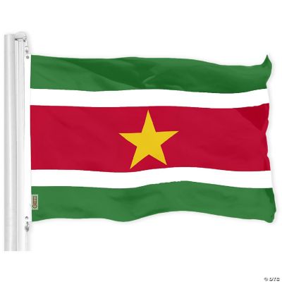 G128 3X5Ft Suriname 150D Polyester Flag | Oriental Trading