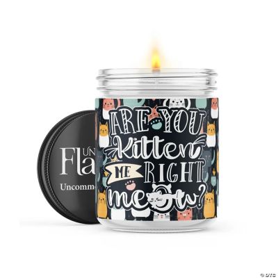 Are You Kitten Me Right Now? 22oz Candle Jar Black Ice Flame Oriental Trading