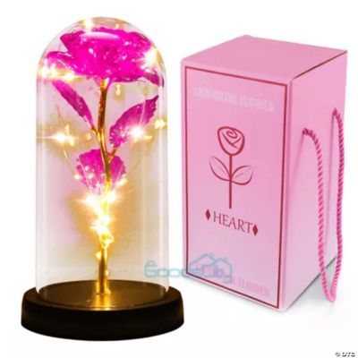 Enchanted Forever Flower Rose In Dome Glass Led Night Light Valentine'S ...