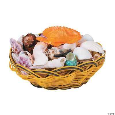 Genuine Sea Shell Assortment Discontinued