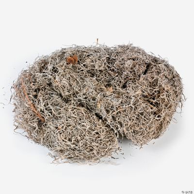 Bag of Spanish Moss Discontinued