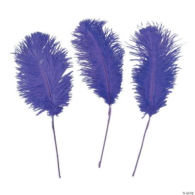 Purple Ostrich Feathers | Oriental Trading