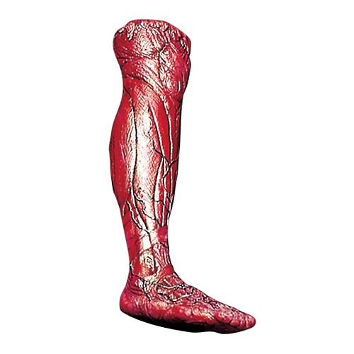 Featured Image for Skinned Right Leg