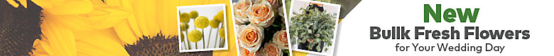 New Bulk Fresh Flowers for Your Wedding Day