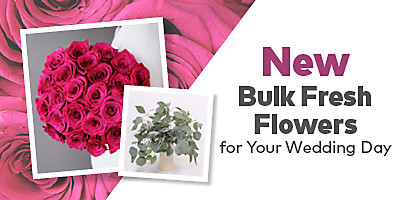 New! Bulk Fresh Flowers for Your Wedding Day 