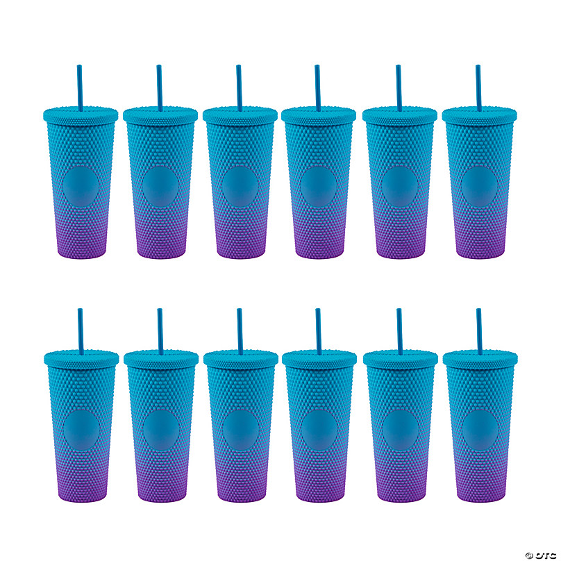https://s7.orientaltrading.com/is/image/OrientalTrading/FXBanner_808/24-oz--blue-and-purple-reusable-plastic-tumblers-with-lids-and-straws-12-ct-~14104598.jpg