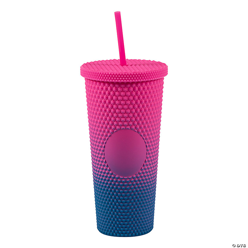 24 oz. Pink & Blue Reusable Plastic Tumbler with Lid & Straw