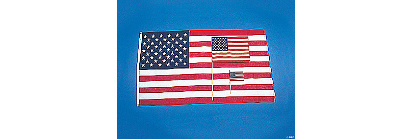https://s7.orientaltrading.com/is/image/OrientalTrading/FXBanner_808/6-x-4-small-cloth-american-flags-on-wooden-sticks-12-pc-~5_161-163.jpg