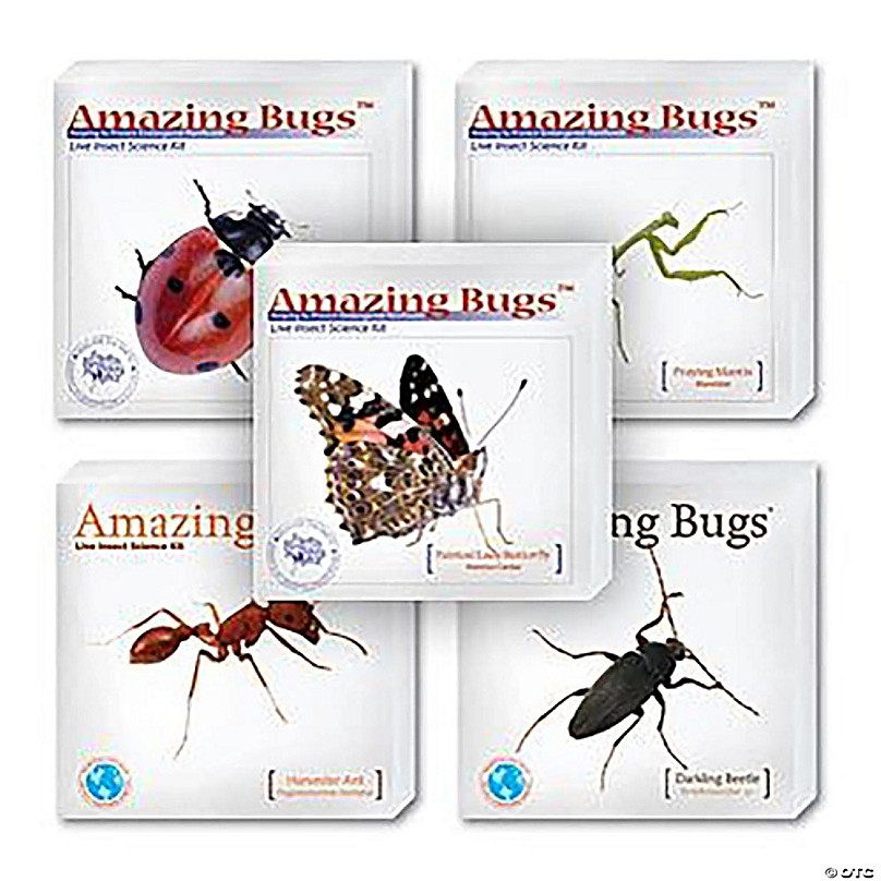 Animal Habitat Mini Sticker Scenes - 24 Pc.