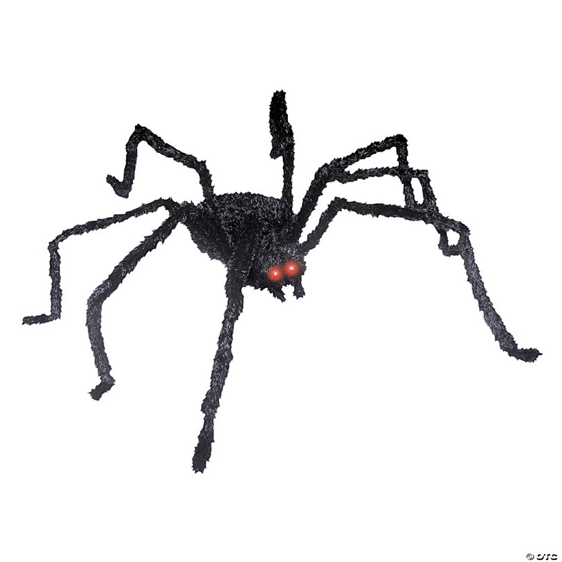 black halloween spider