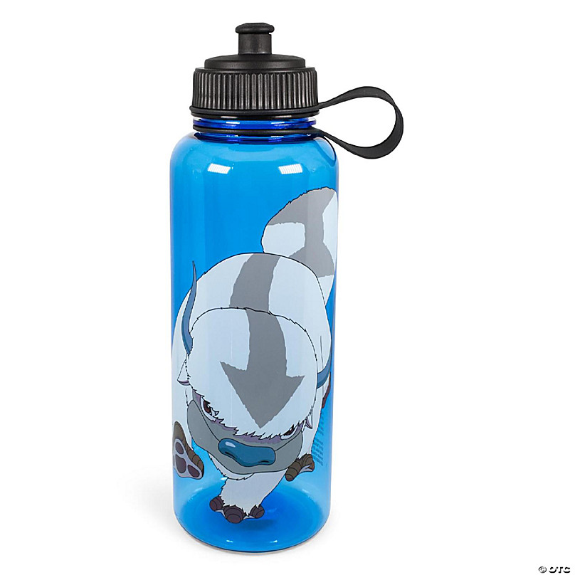 Pokemon Rayquaza 16oz Water Bottle