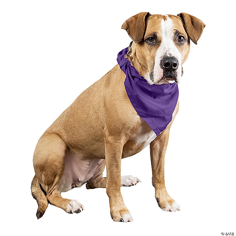 https://s7.orientaltrading.com/is/image/OrientalTrading/FXBanner_808/balec-6-pcs-plain-cotton-pets-dogs-bandana-triangle-shape-large-pets-purple~14344536.jpg