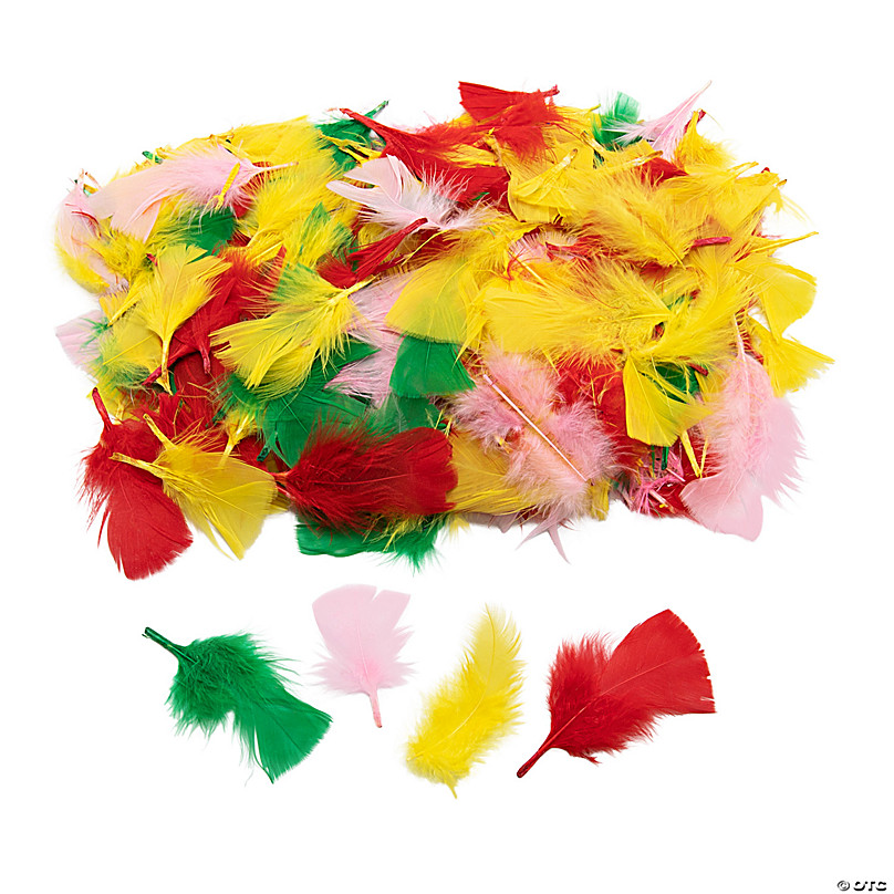 Turkey Craft Feathers, Duck Feather Diy