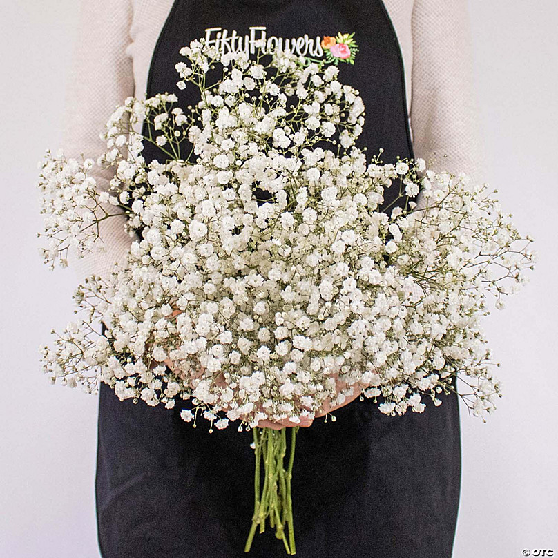 Buy Veryhome 10PCS 30 Bunches White Babys Breath Flowers