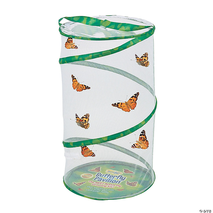 NATIONAL GEOGRAPHIC Caterpillar Growing Kit - Butterfly Habitat With  Voucher for 5 Caterpillars, Cage, and Feeder ( Exclusive)