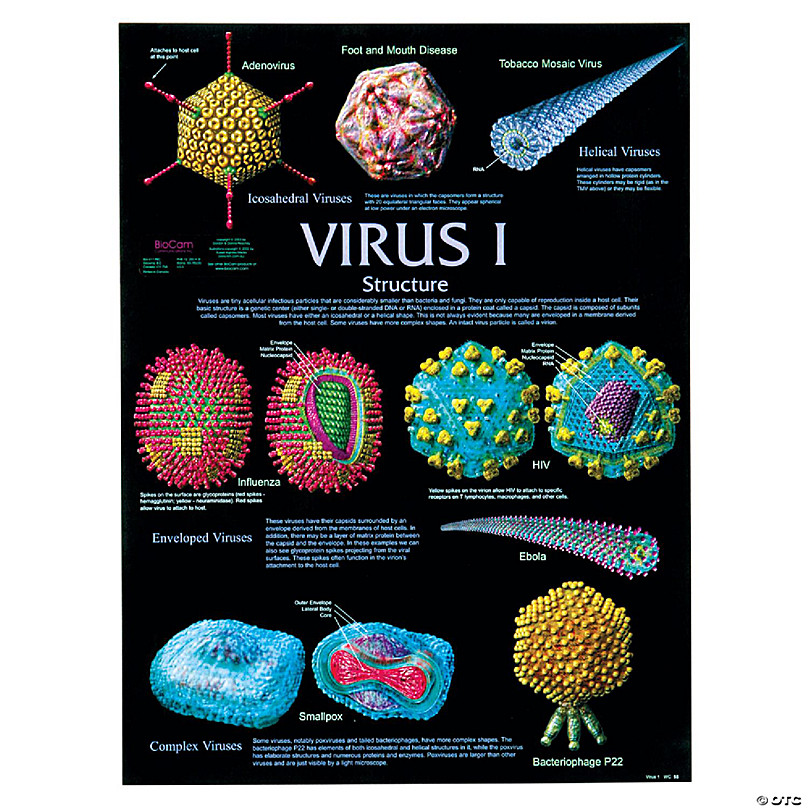 Carolina Biological Supply Company Virus I Poster