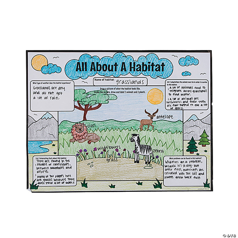 Color Your Own All About a Habitat Posters - 30 Pc. - Discontinued