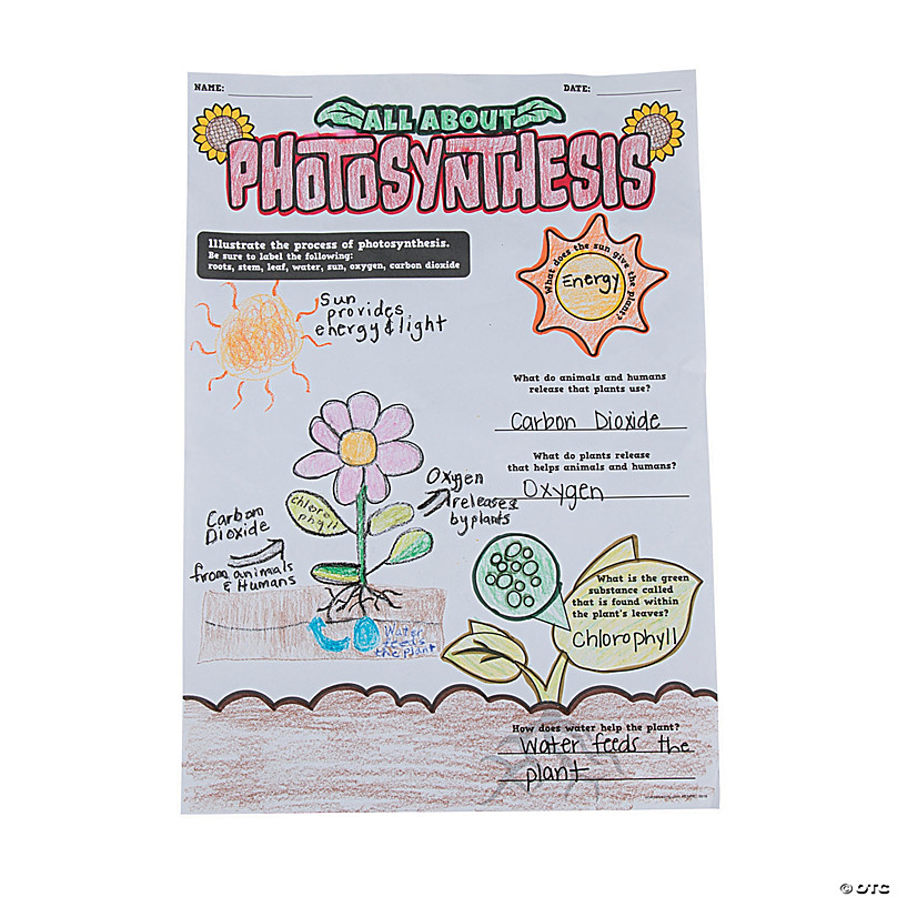 Color Your Own All About Photosynthesis Mini Posters Oriental Trading