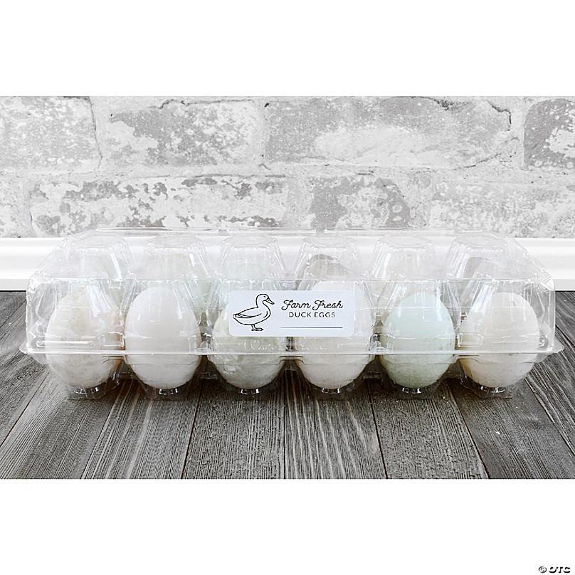 Cornucopia Duck Egg Cartons (8-Pack); Plastic Jumbo Egg Containers for Duck  and Turkey Egg Storage