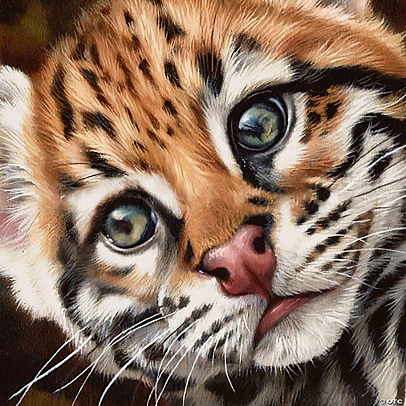 Tiger Diamond Painting Set by Crafting Spark. CS2722 Diamond Art Kit. Large  Diamond Painting Kit 