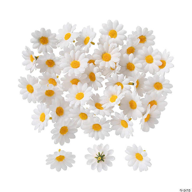 Daisy Confetti/ 50 Pieces/ White Daisies/ Spring Daisy Decor