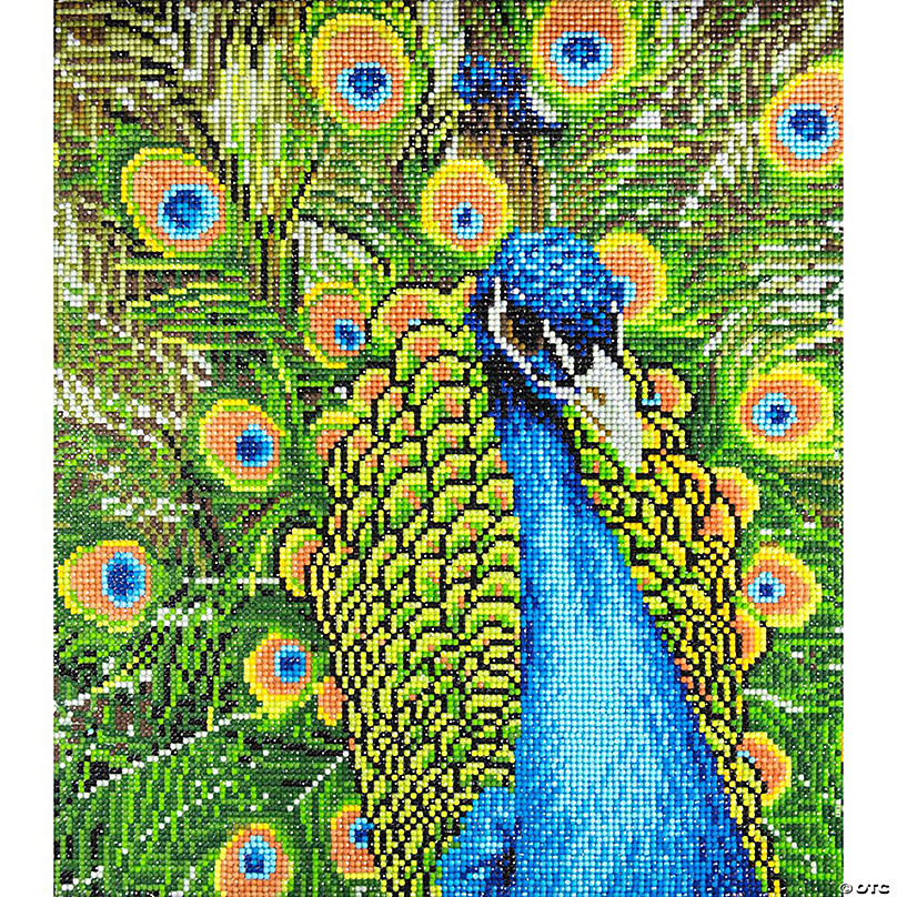 Make Market Peacock Diamond Art Kit - 16 x 20 in