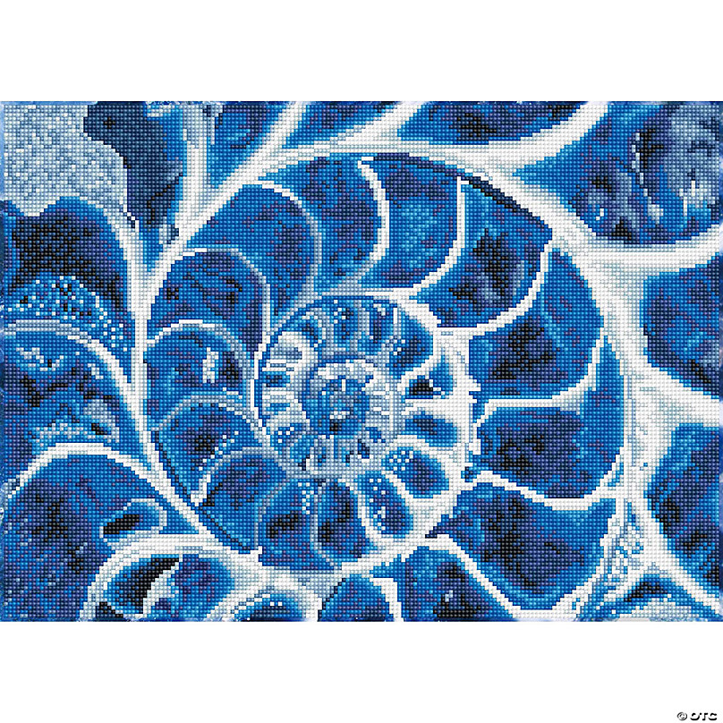 https://s7.orientaltrading.com/is/image/OrientalTrading/FXBanner_808/diamond-dotz-facet-art-kit-intermediate-blue-nautilus~14295502.jpg