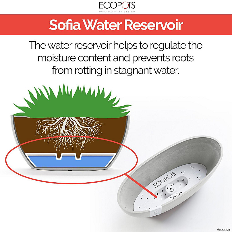 Reservoir, with Planter Plastic Sofia Dark Oval Trading Ecopots Oriental Water Inches | Flower Pot Grey, 12 Indoor/Outdoor Modern