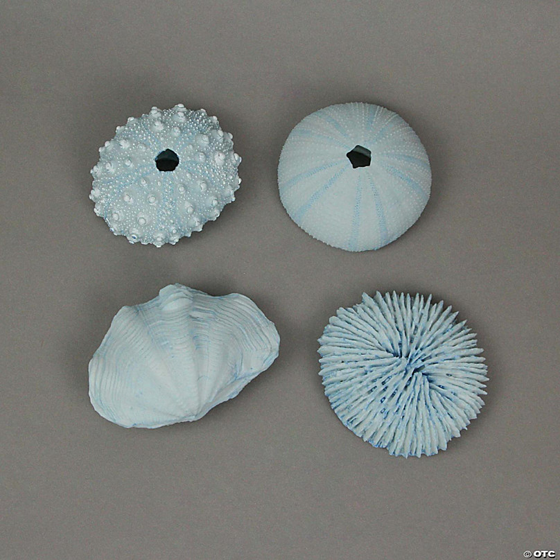 Fancy That Set of 8 Pale Blue Resin Clam and Sea Urchin Shell Decorative  Accent Figures