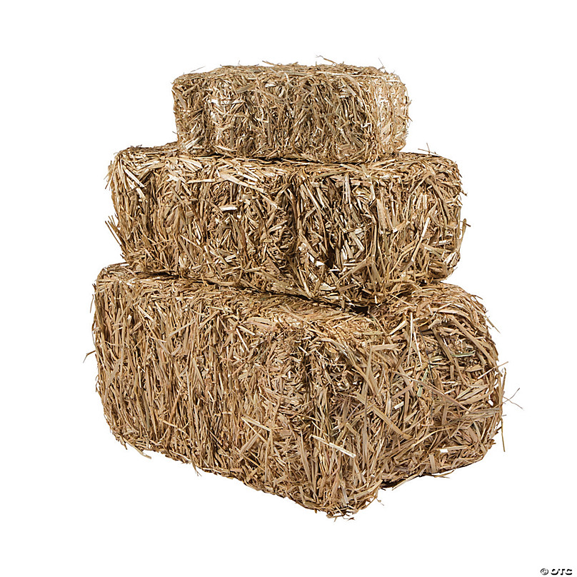 Small Bale of Straw 13in x 6in