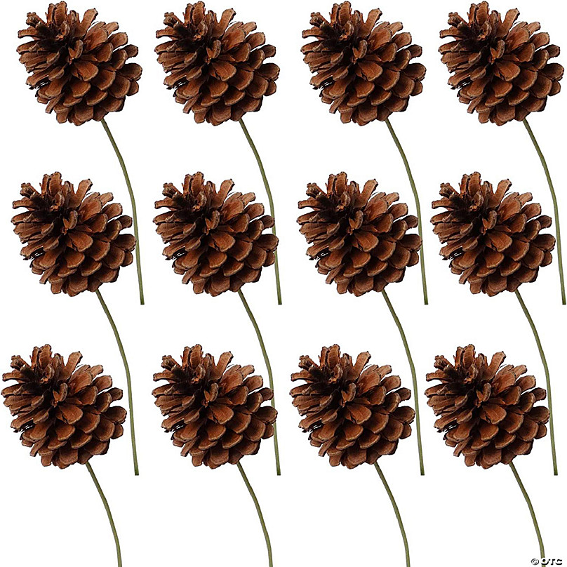 Pine Cone Pick (Set of 2)