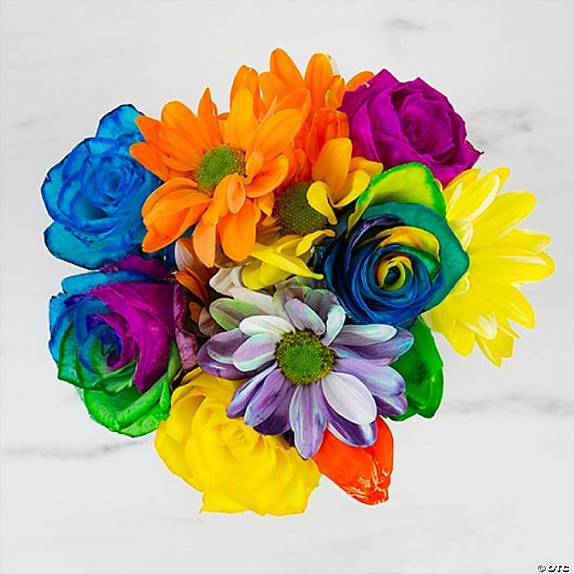 Gift Republic DIY Rainbow Flowers Kit Multicolor