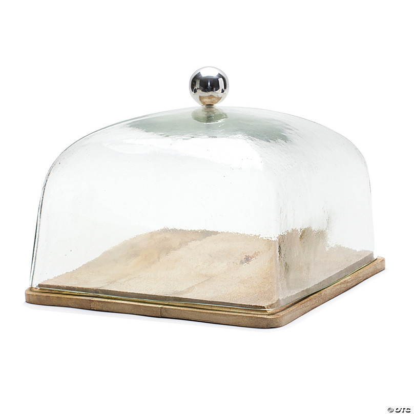 https://s7.orientaltrading.com/is/image/OrientalTrading/FXBanner_808/glass-cloche-with-wood-plate-10-5sq-x-8-75h-wood-glass~14424608.jpg