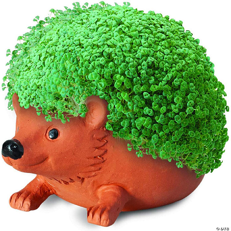 Inc Hedgehog Chia Pet Decorative Planter Joseph Enterprises 