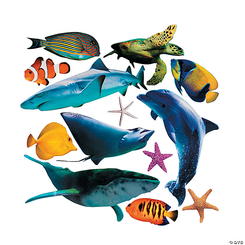 Jumbo Realistic Sea Life Cutouts - 13 Pc.