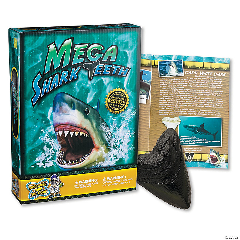 Mega Shark Teeth
