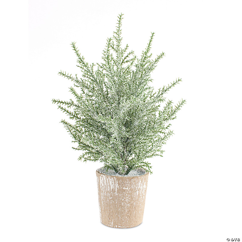 https://s7.orientaltrading.com/is/image/OrientalTrading/FXBanner_808/melrose-international-potted-icy-pine-tree-set-of-6-12in~14310766.jpg