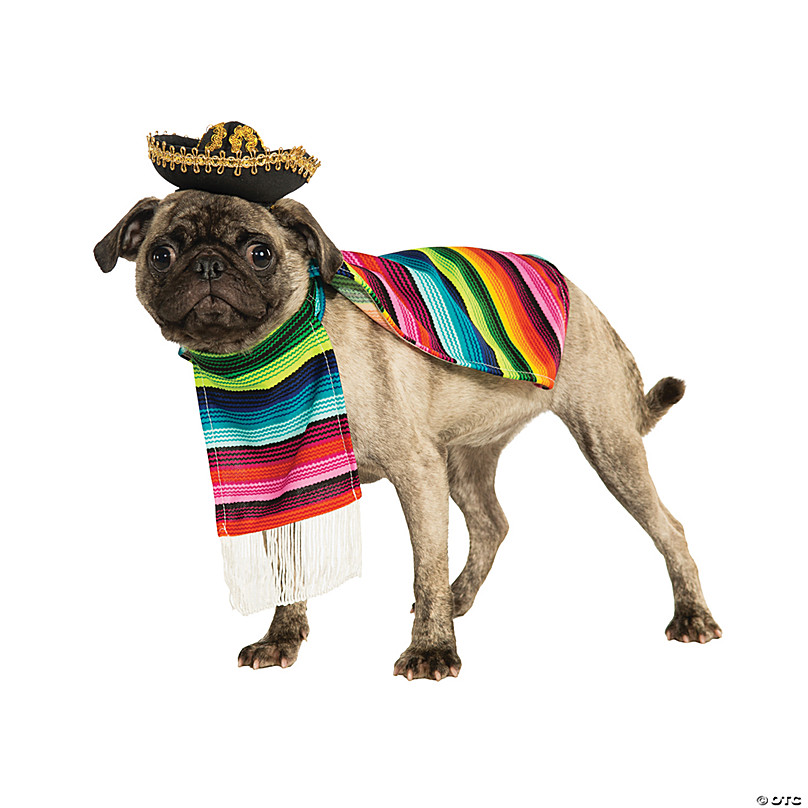 Buy Mexican Dog Shirts/ Mexican Guayabera for Dog / Summer Dog