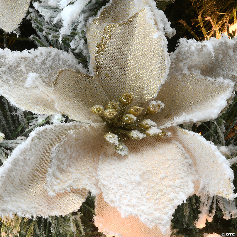 Frosty Fir – Native Flower Company