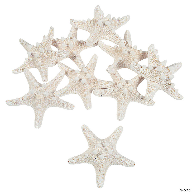 https://s7.orientaltrading.com/is/image/OrientalTrading/FXBanner_808/natural-bleached-philippine-starfish-12-pc-~13727295.jpg